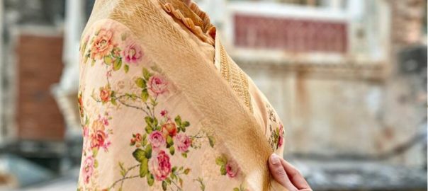 Lt Fabrics   Ekanta Elegant Saree Material Ladies Sarees Exporter Textile Market Australia For Wholesale Dealer