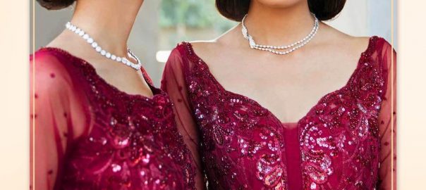 Shree Fab   Rang Rasiya Embroidery Collection Vol.2 Designer Un Stitched Salwar Suit Wholesalers Online Market Ahmedabad For Retailers