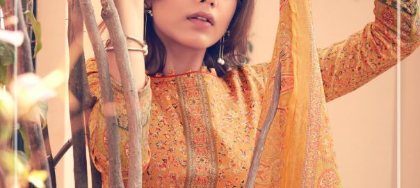 Alok Suits   Mehreen Pure Nazneen Chiffon Digital Print Box Pallu Dupatta Un Stitched Buy Online Wholesale Salwar Suit Textile Market India Collection
