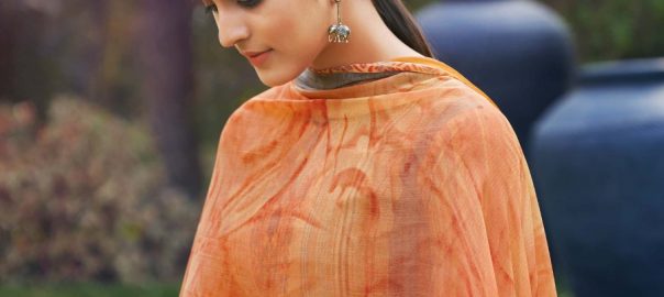 Belliza Designer Studio   Nazrana Exclusive Printed Nazneen Chiffon Dupatta With Four Side Lace. (2.30 Mtr) Un Stitched Buy Bulk Salwar Suit United Kingdome Uk Competitive Price