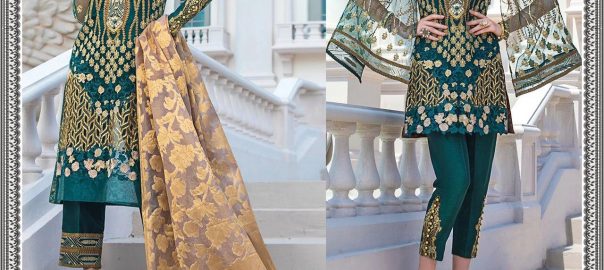 Fepic    Rosemeen D No 87001 Santoon Un Stitched Ladies Single Manufacturers Usa For Home Based Seller