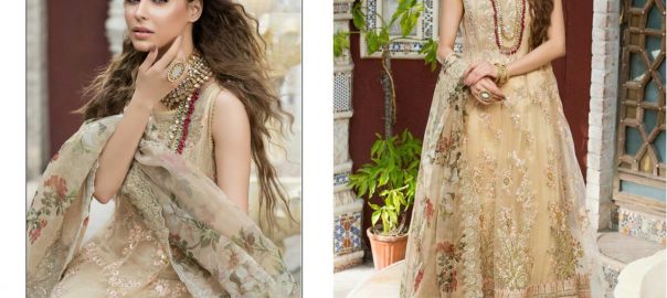 Khayyira Suits   Dn 1099 Organza Digital Printed With Embroidered Semi Stitch Women Single Supplier Market Ahmedabad For Retailers