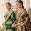 Aamyra Designer – Shehzadi vol.2