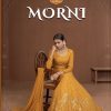 RSF – Morni gown