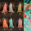 Alok Suits – Evanshi