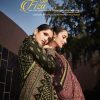 Mumtaz Arts – Fiza