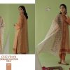 Shree Fabs – Chevron premium collection -3 (SIFFON DUPPTA)