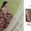 Shree Fabs – Chevron premium collection -3 (SIFFON DUPPTA)