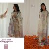 Shree Fabs – Chevron premium collection -3 (SIFFON DUPPTA)