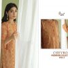 Shree Fabs – Chevron premium collection -3 (SIFFON DUPPTA)