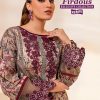 Shree Fab – Firdous exclusive remix Cotton Duptta