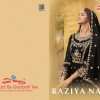 Your choice – Raziya Nyra