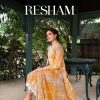 BelliZa DesigNer StuDio – Resham