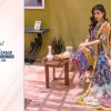 Shree Fab – Firdous exclusive vol.30 Ciffon Duptta