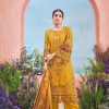 Alok Suit – Asim jofa