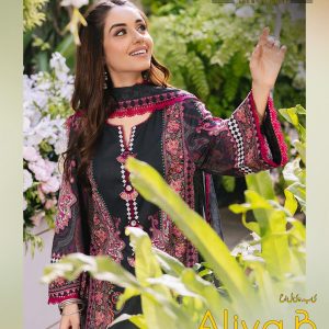 Shree Om Fab – Aliya B Vol.3     Salwar Suit Wholesale Catalog Any Occasion