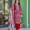 Vandana Fashion – Pakiza vol.7