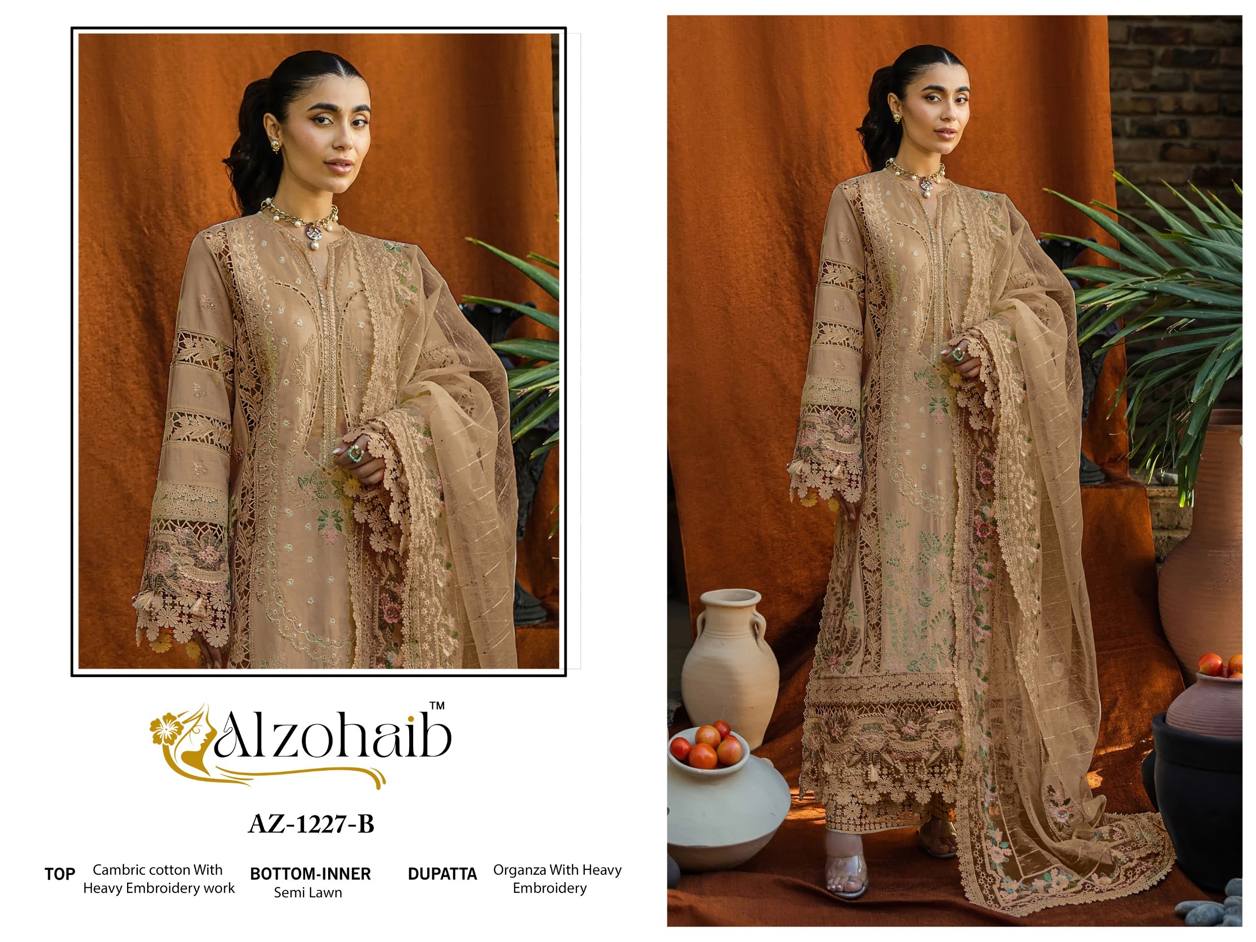 Al Zohaib – D.No.1227     Salwar Suit Wholesale Catalog Any Occasion